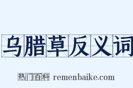 乌腊草反义词是什么意思的图片